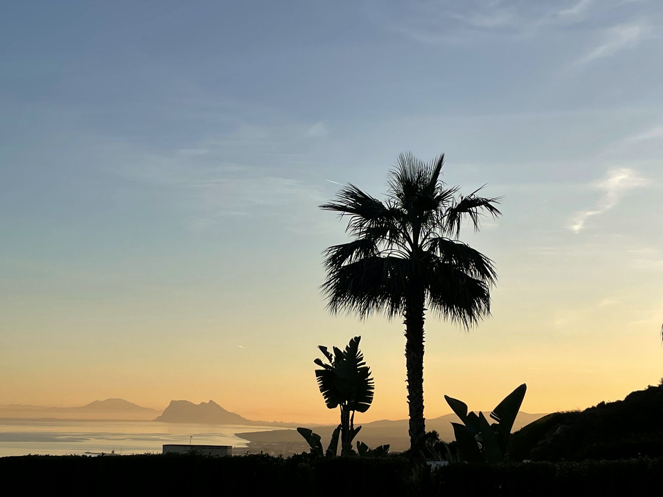 The Pitfalls — SotoAlgarve